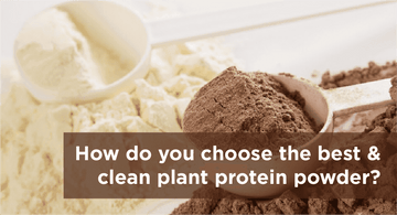 Plant Protein Powder - The Ultimate Guide to Choosing the Best Option - Orgacia