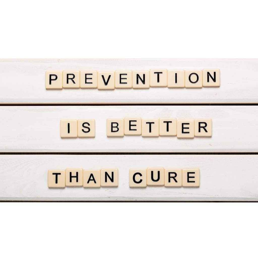 Orgacia Plant-Based Protein: A Path to Better Health - Orgacia