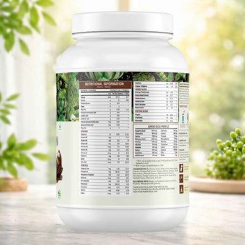 Orgacia Complete Plant Based Protein Powder For Men & Women